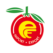 pattini import export